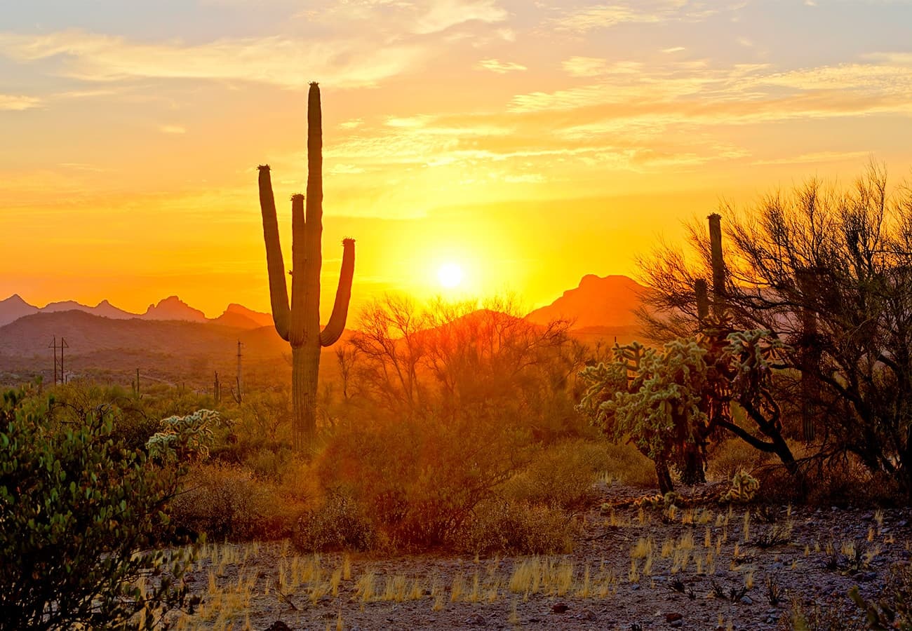 Why 4 major Arizona insurance carriers are dropping PPO plans in favor of HMO plans