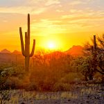 Arizona