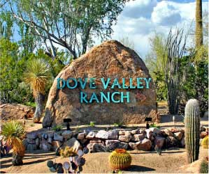 Find Health Insurance In Dove Valley Ranch